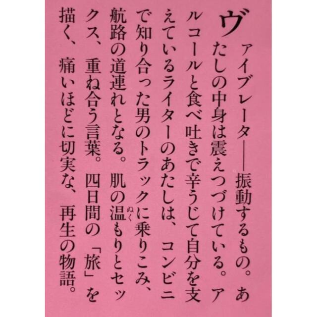 【よりどり2冊まで300円】「ヴァイブレータ」 赤坂 真理 エンタメ/ホビーの本(文学/小説)の商品写真