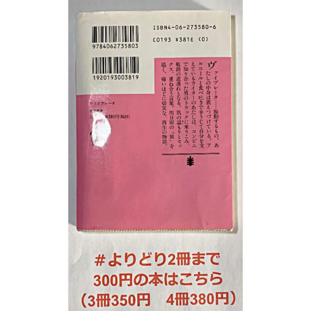 【よりどり2冊まで300円】「ヴァイブレータ」 赤坂 真理 エンタメ/ホビーの本(文学/小説)の商品写真