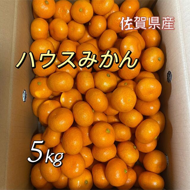 唐津 ハウスみかん 5kg 佐賀産 温室みかん - フルーツ