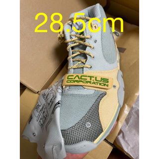 NIKE AIR トレーナー 1 × CACTUS CORP(スニーカー)