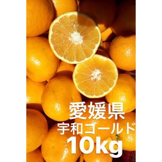 愛媛県産　河内晩柑　宇和ゴールド紅　嵐ゴールド　柑橘　10kg(フルーツ)