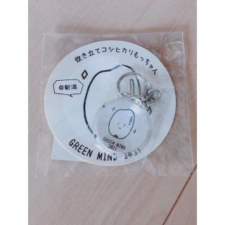 秦基博 GREENMIND2021 ご当地もっちゃん キーホルダー(ミュージシャン)