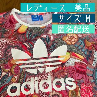 adidas FUGIPRABALI TEE 限定カラー　上下セット