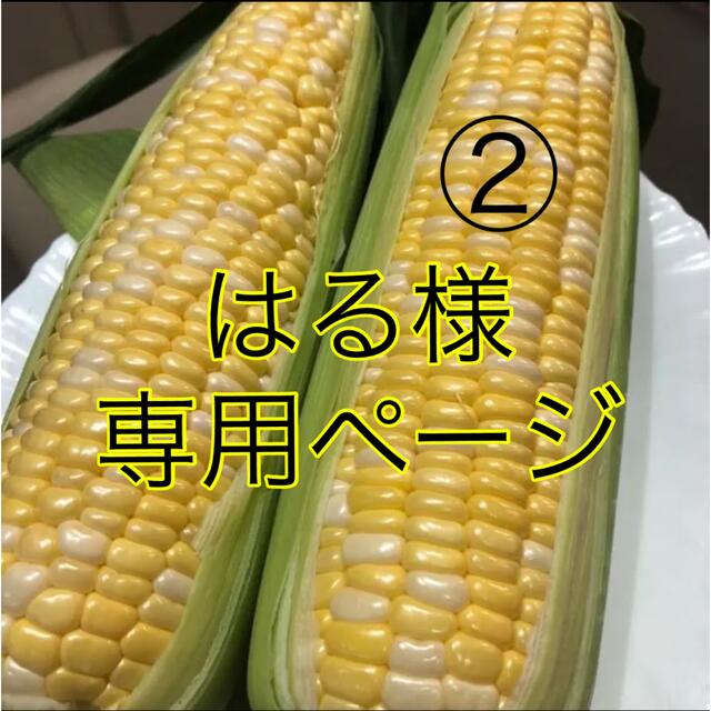 はる様専用ページ②の通販 by マルヨシ園芸's shop|ラクマ