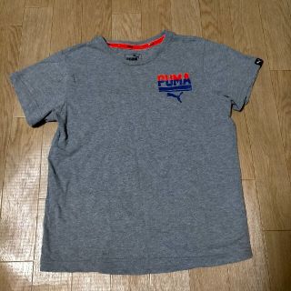 プーマ(PUMA)のPUMA Tシャツ 140 グレー(Tシャツ/カットソー)