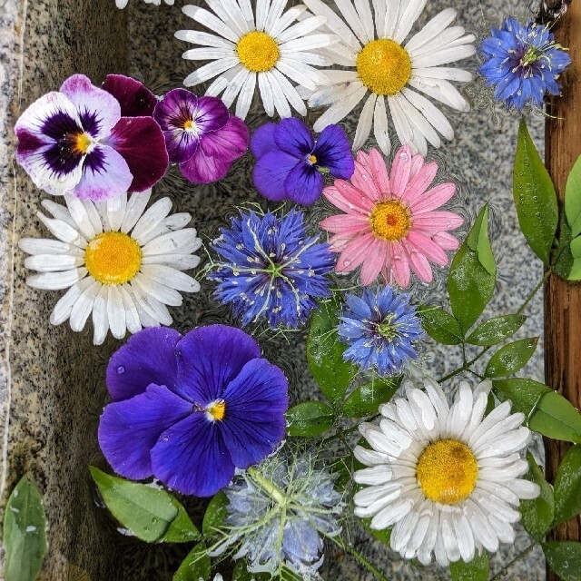 正規通販 【kanikanigo様専用】 紫陽花 お花 御朱印です その他 - flaviogimenis.com.br 正規通販 【kanikanigo様専用】 紫陽花 お花 御朱印です その他 - flaviogimenis.com.br