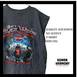 ハーレーダビッドソン(Harley Davidson)のハーレーダビッドソン Harley Davidson ノースリーブ Tシャツ(Tシャツ/カットソー(半袖/袖なし))