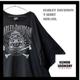 ハーレーダビッドソン(Harley Davidson)のハーレーダビッドソン Harley Davidson tシャツ オーバーサイズ(Tシャツ/カットソー(半袖/袖なし))