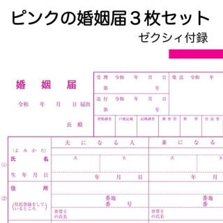 【2022年6月号 ゼクシィ付録】ピンクの 婚姻届 3枚セット(結婚/出産/子育て)