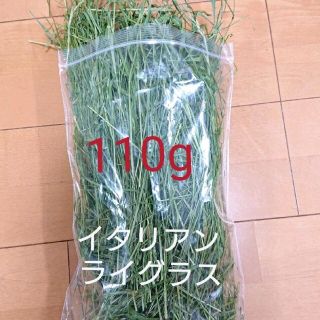 乾燥牧草 イタリアンライグラス  110g(ペットフード)