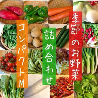 おまかせ 野菜 詰め合わせ コンパクト(野菜)