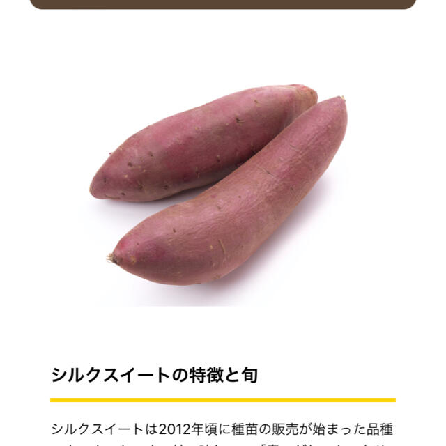 シルクスイート芋苗1000本 食品/飲料/酒の食品(野菜)の商品写真