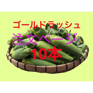 トウモロコシ　ゴールドラッシュ(野菜)