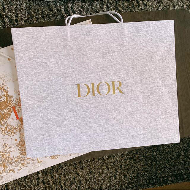 Christian Dior(クリスチャンディオール)のChristian Dior ショッパー3枚セット 特大サイズ レディースのバッグ(ショップ袋)の商品写真