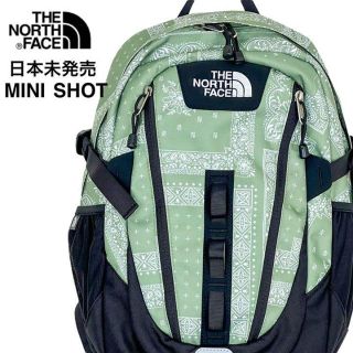 ザノースフェイス(THE NORTH FACE)の【新品即納】大人気ノースフェイス★バックパック/リュック 緑バンダナ柄ペイズリー(リュック/バックパック)