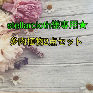 stellarcloth様専用出品です！(その他)