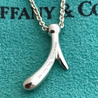 ティファニー(Tiffany & Co.)のTiffanyラージイニシャルi ネックレス 希少　美品(ネックレス)