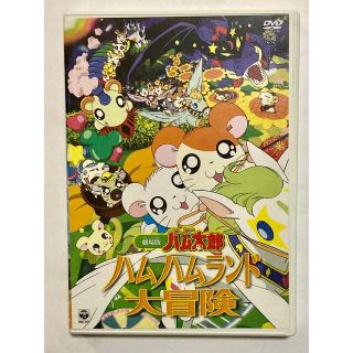 ショウガクカン(小学館)の劇場版　とっとこハム太郎　ハムハムランド大冒険 DVD(アニメ)