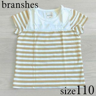 ブランシェス(Branshes)のBranshes ボーダー Tシャツ 110(Tシャツ/カットソー)