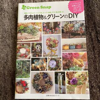 多肉植物＆グリーンのＤＩＹ 簡単にできちゃう！リメイク鉢、ガーデン雑貨、手作り(住まい/暮らし/子育て)