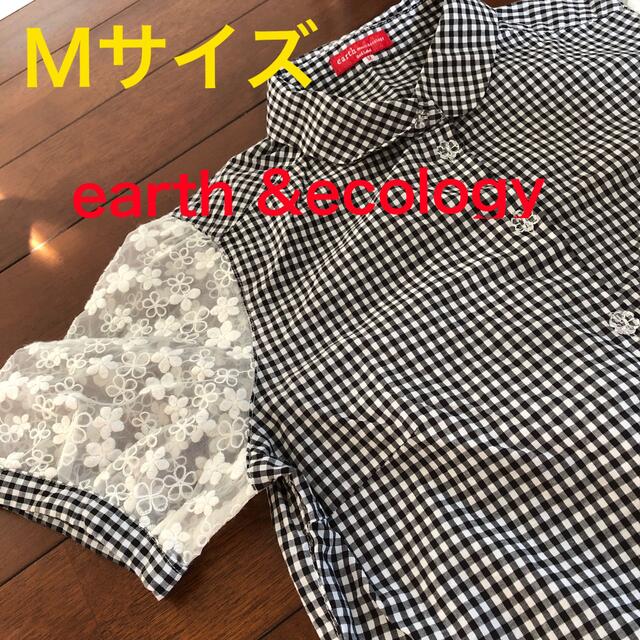 earth music & ecology(アースミュージックアンドエコロジー)のearth チェック柄　シースルー袖　M レディースのトップス(シャツ/ブラウス(半袖/袖なし))の商品写真