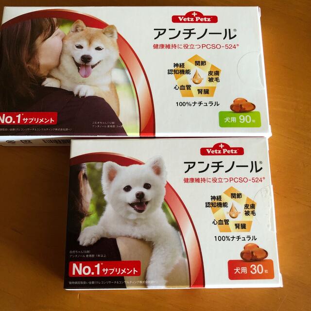 犬用　アンチノール　120粒