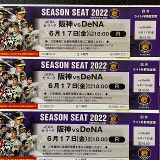 ハンシンタイガース(阪神タイガース)の6/17(金)阪神vs DeNA戦　3席(野球)