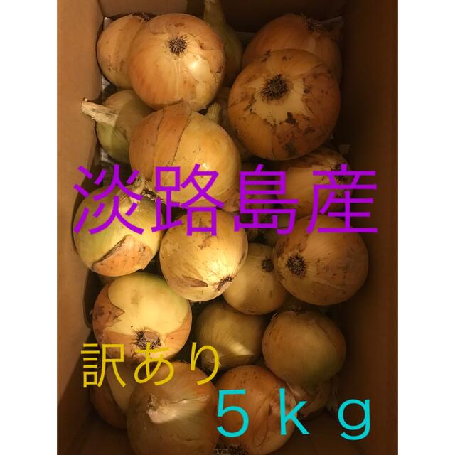 淡路島産　玉ねぎ 食品/飲料/酒の食品(野菜)の商品写真