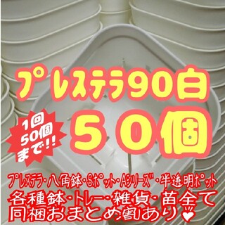 【スリット鉢】プレステラ90白50個 多肉植物 プラ鉢(プランター)