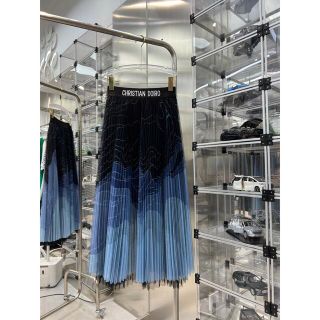 ディオール　ロングプリーツスカート　Christian Dior(ロングスカート)