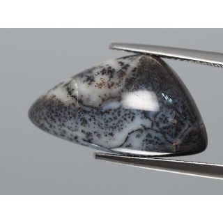 デントリックオパール　ルース(マダガスカル) 約9.09ct 【288】(各種パーツ)