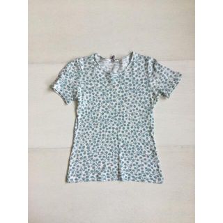 ミナペルホネン(mina perhonen)のミナペルホネン　sprout tee used クリーニング済み(Tシャツ(半袖/袖なし))