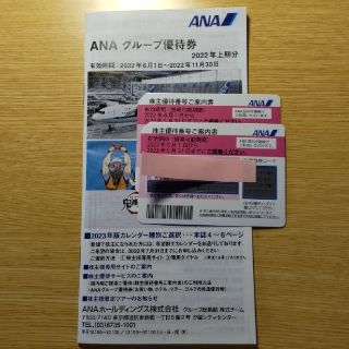 エーエヌエー(ゼンニッポンクウユ)(ANA(全日本空輸))のANA株主優待券(搭乗優待2枚+グループ優待)(その他)