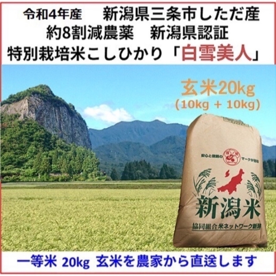 残り17袋　減農薬こしひかり玄米10kg+10kg　新潟県三条市下田村産　特栽米　米/穀物