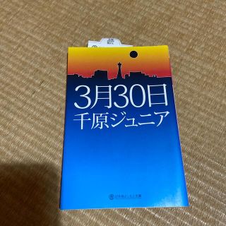 ３月３０日(その他)