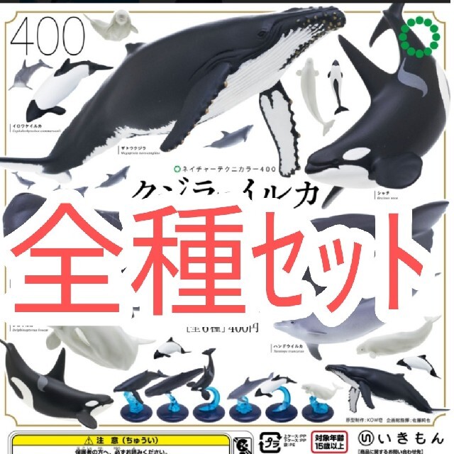 全種セット【新品未使用】ネイチャーテクニカラー400 クジラとイルカ　ガチャ エンタメ/ホビーのフィギュア(その他)の商品写真