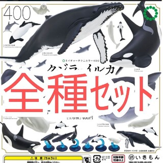 全種セット【新品未使用】ネイチャーテクニカラー400 クジラとイルカ　ガチャ(その他)