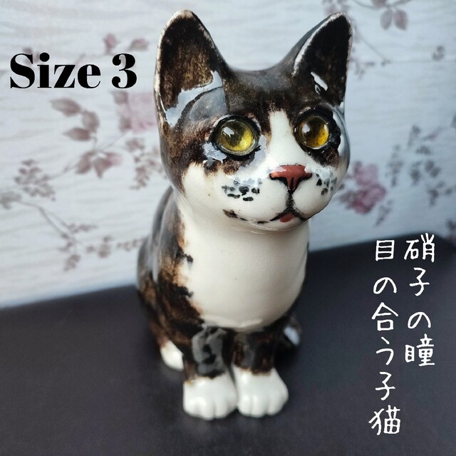 size3◇ケンジントンキャット 目が合う不思議な子猫 ウィンスタンレイ