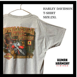 ハーレーダビッドソン(Harley Davidson)のハーレーダビッドソン Harley Davidson tシャツ オーバーサイズ(Tシャツ/カットソー(半袖/袖なし))