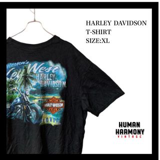 ハーレーダビッドソン(Harley Davidson)のハーレーダビッドソン Harley Davidson tシャツ オーバーサイズ(Tシャツ/カットソー(半袖/袖なし))