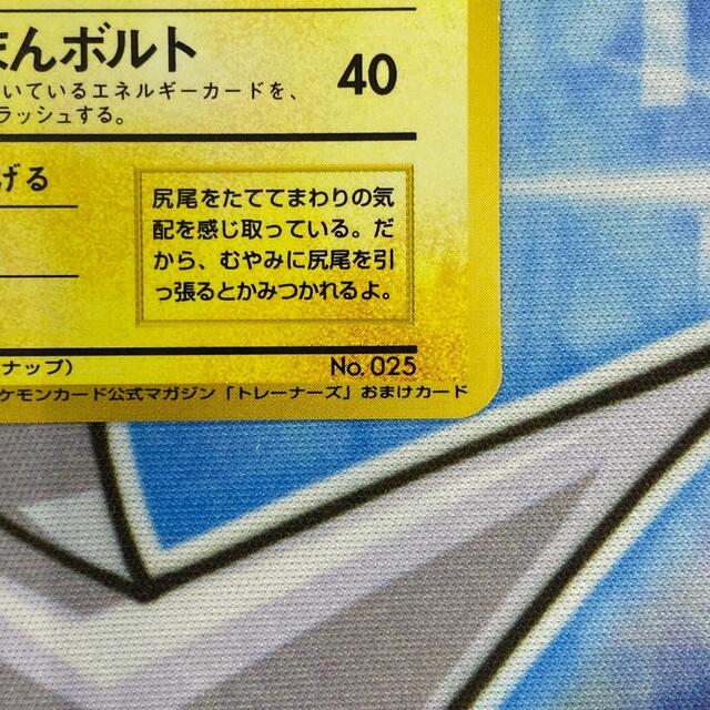 ポケモン - ピカチュウ ポケモンスナップの通販 by 白水's shop ポケモン - ピカチュウ ポケモンスナップの通販 by 白水's shop