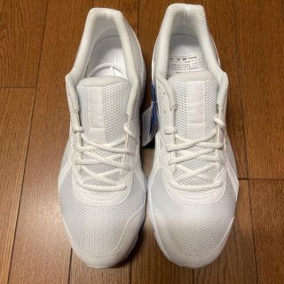 ミズノ(MIZUNO)のマキシマイザー22 サイズ29cm 通学靴(スニーカー)