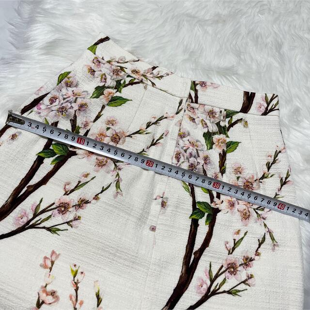 DOLCE&GABBANA - 本物 美品 ドルチェ&ガッバーナ 桜 花柄 フラワー