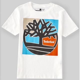 ティンバーランド(Timberland)のティンバーランド ティンバー 子供 kids Tシャツ 半袖 海外限定 M(Tシャツ/カットソー)