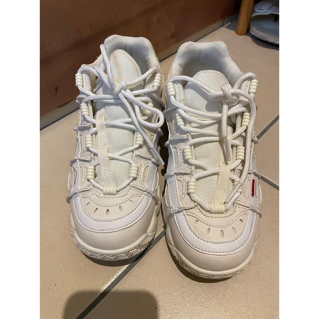 FILA   スニーカー　24.5