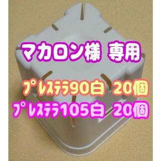 【スリット鉢】プレステラ105白20個 他 多肉植物 プラ鉢(プランター)