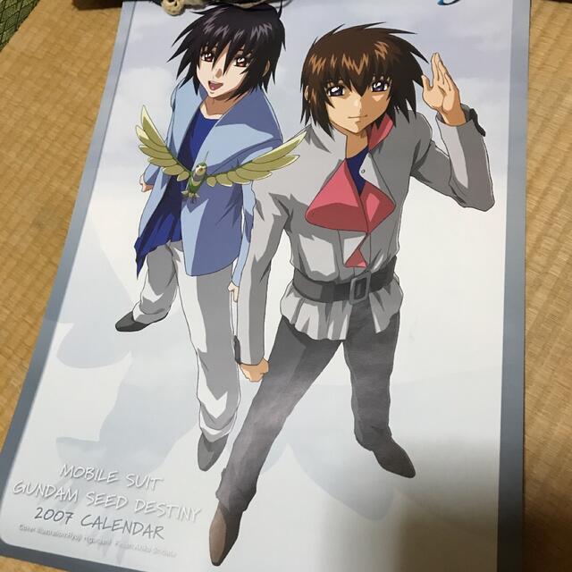 機動戦士ガンダムSEED DESTINY