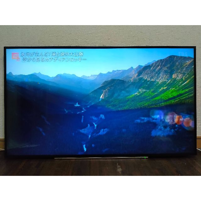 東芝 REGZA 55J20X IPS直下型LED 4K ブランドのギフト 48.0%OFF