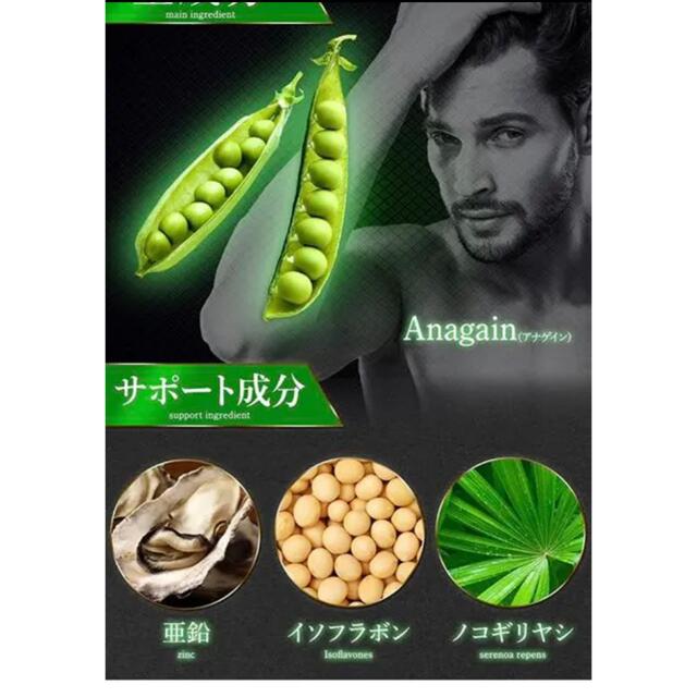 NIAGANAQ アナゲイン3300mg  30日分 Rihaku 3個セット コスメ/美容のヘアケア/スタイリング(スカルプケア)の商品写真