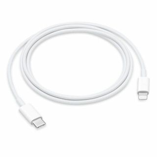 アップル(Apple)の【国内純正品】Apple USB-C-Lightningケーブル（1 m）(キャラクターグッズ)